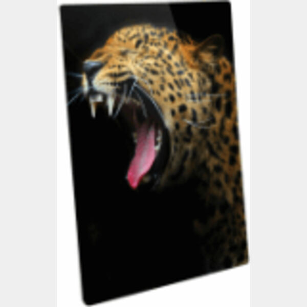 5" x 7" Semi-Gloss ChromaLuxe Aluminum Photo Panel Thumbnail
