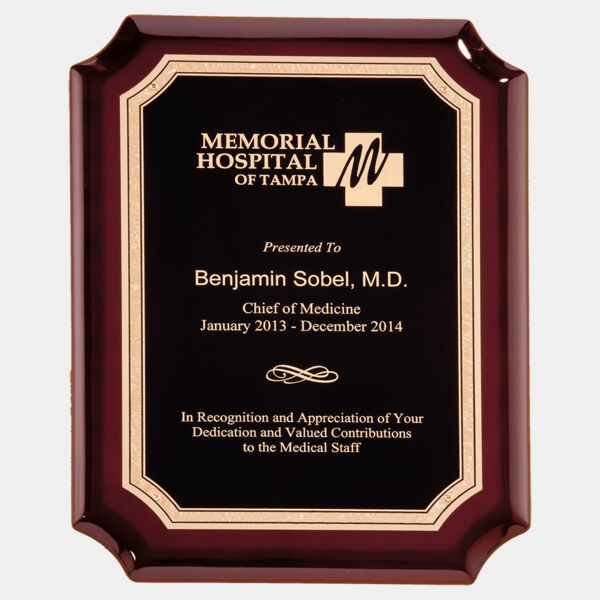 9" x 12" High Gloss Plaque with Florentine Border LaserFX Plate Thumbnail
