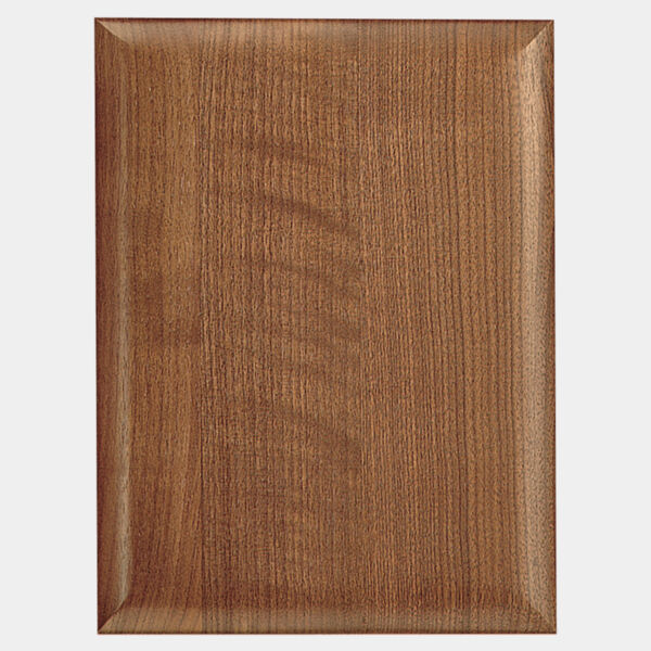 16" X 24" Airflyte Plaque Thumbnail