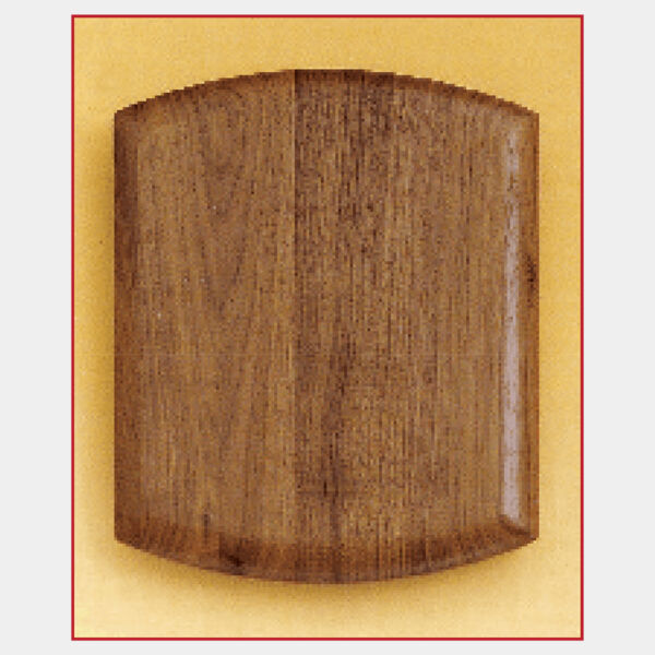 9 1/2" x 11 1/2" Airflyte American Plaque Thumbnail